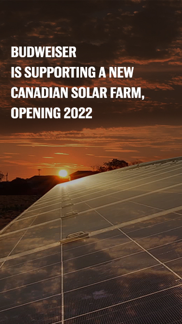 bud-better-tomorrow-solar Budweiser is supporting a new Canadian Solar Farm, opening 2022