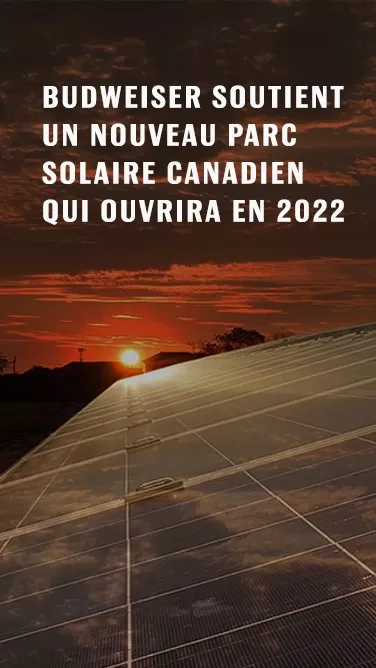 Budweiser is supporting a new Canadian Solar Farm, opening 2022